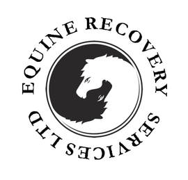 EQUINE RECOVERY